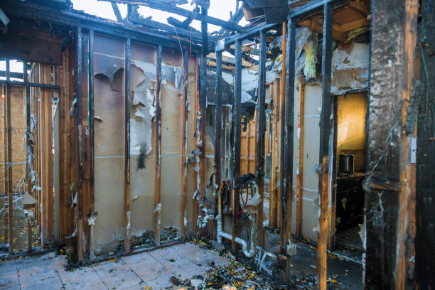 Professional Structural Rebuild technician working in Tomball, TX